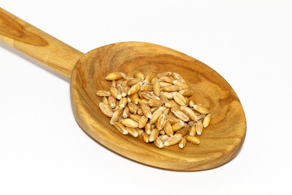 Dinkel nach Hildegard von Bingen. Dr. Hertzka Dinkel, Oberkulmer Rotkorn, Franckenkorn